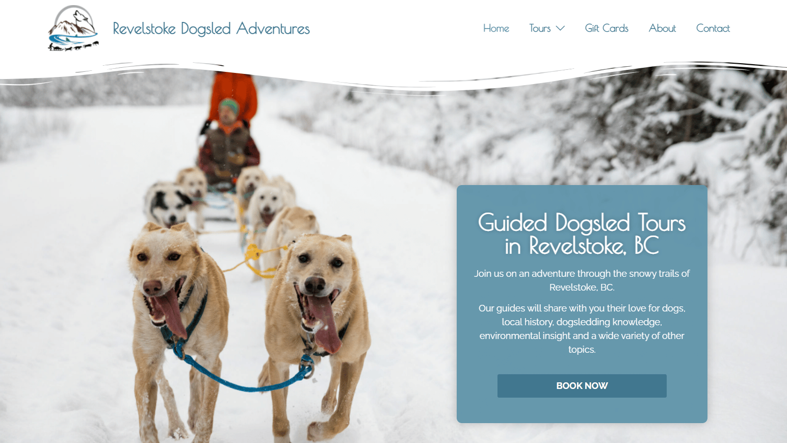 Revelstoke Dogsled Adventures Hero